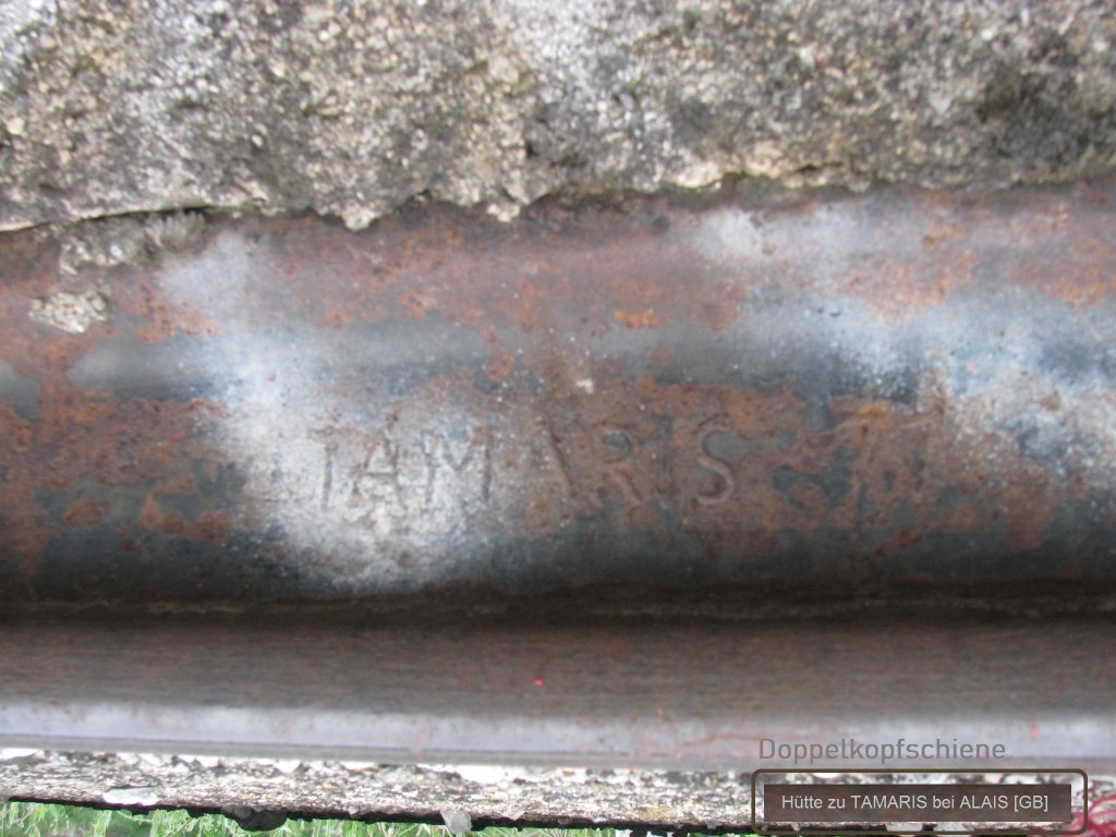 Dieses Bild hat ein leeres Alt-Attribut. Der Dateiname ist 1871-tamaris-23.05.2009-foix-f.-.jpg